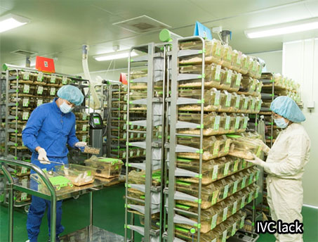 마우스 사육시설 IVC lack