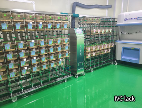 마우스 사육시설 IVC lack